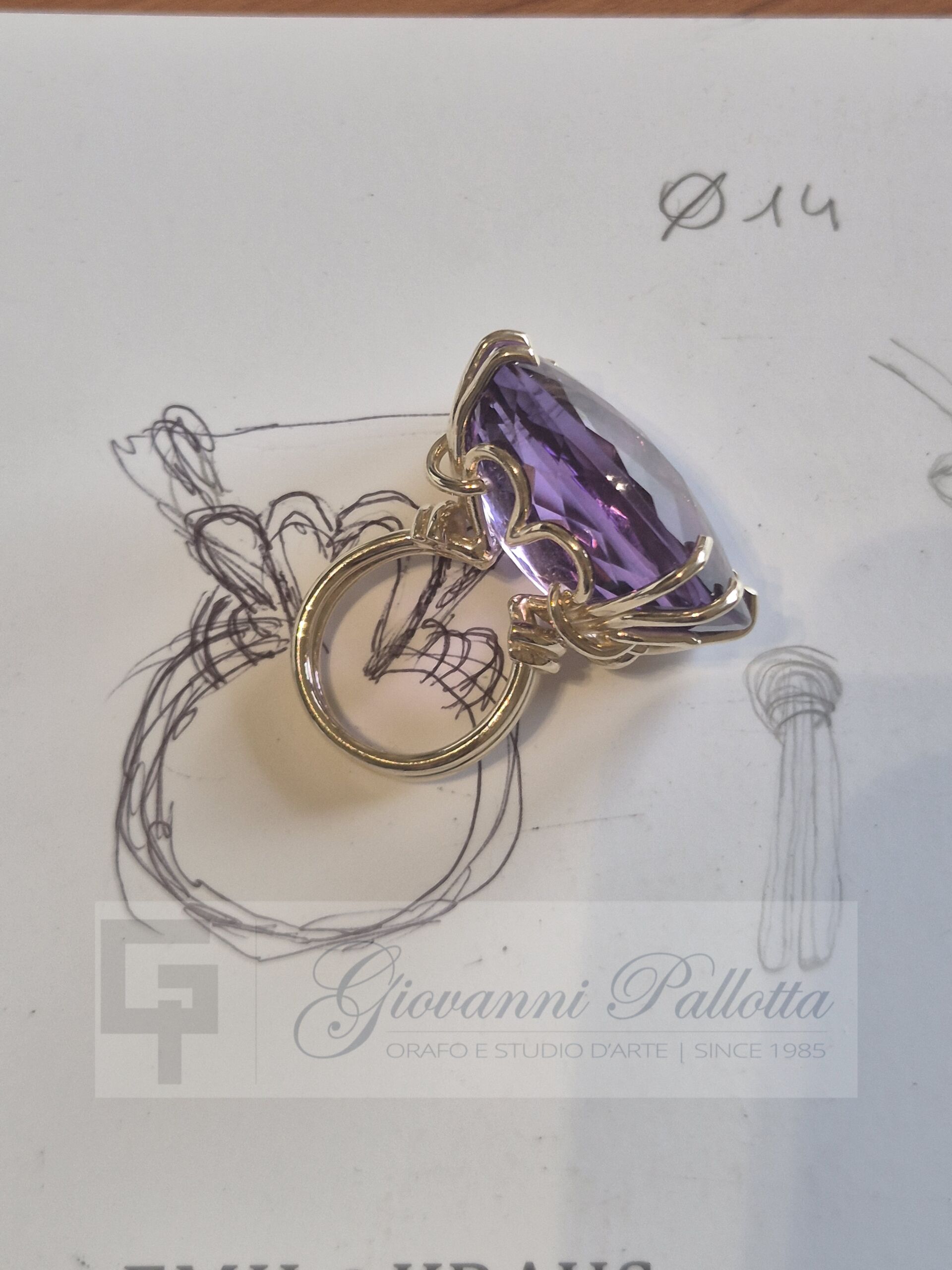 Photo_1770733987371 Photo 1770733987371 scaled