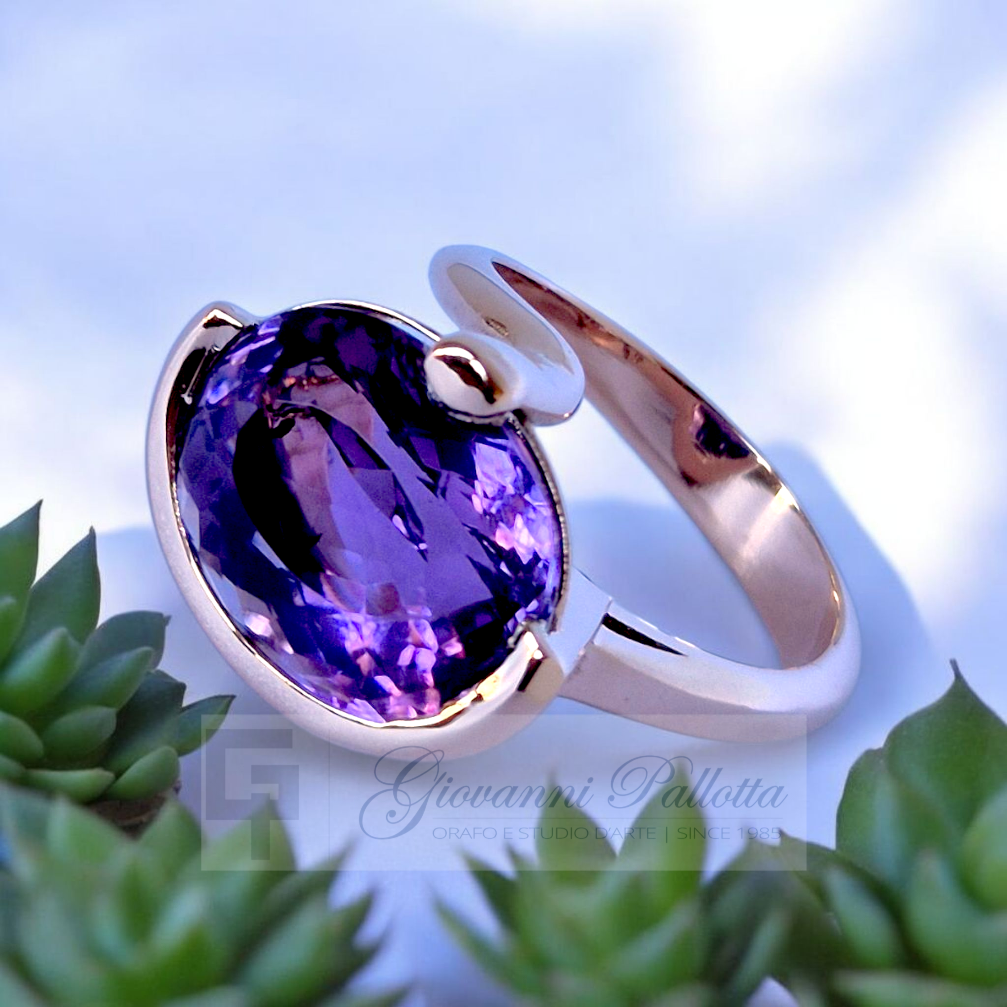 Photo_1770734524775 Photo 1770734524775